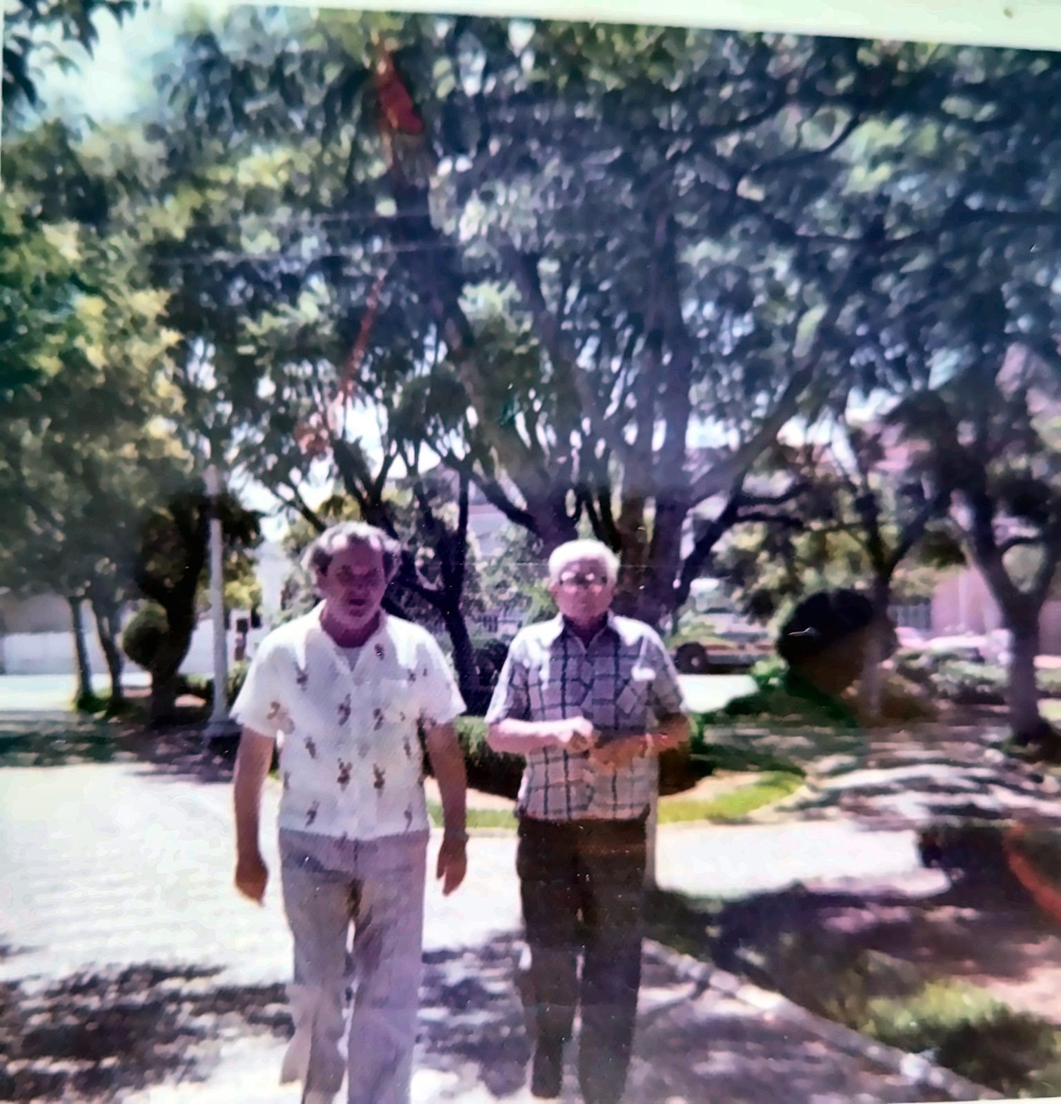 Dois homens caminhando numa praça arborizada